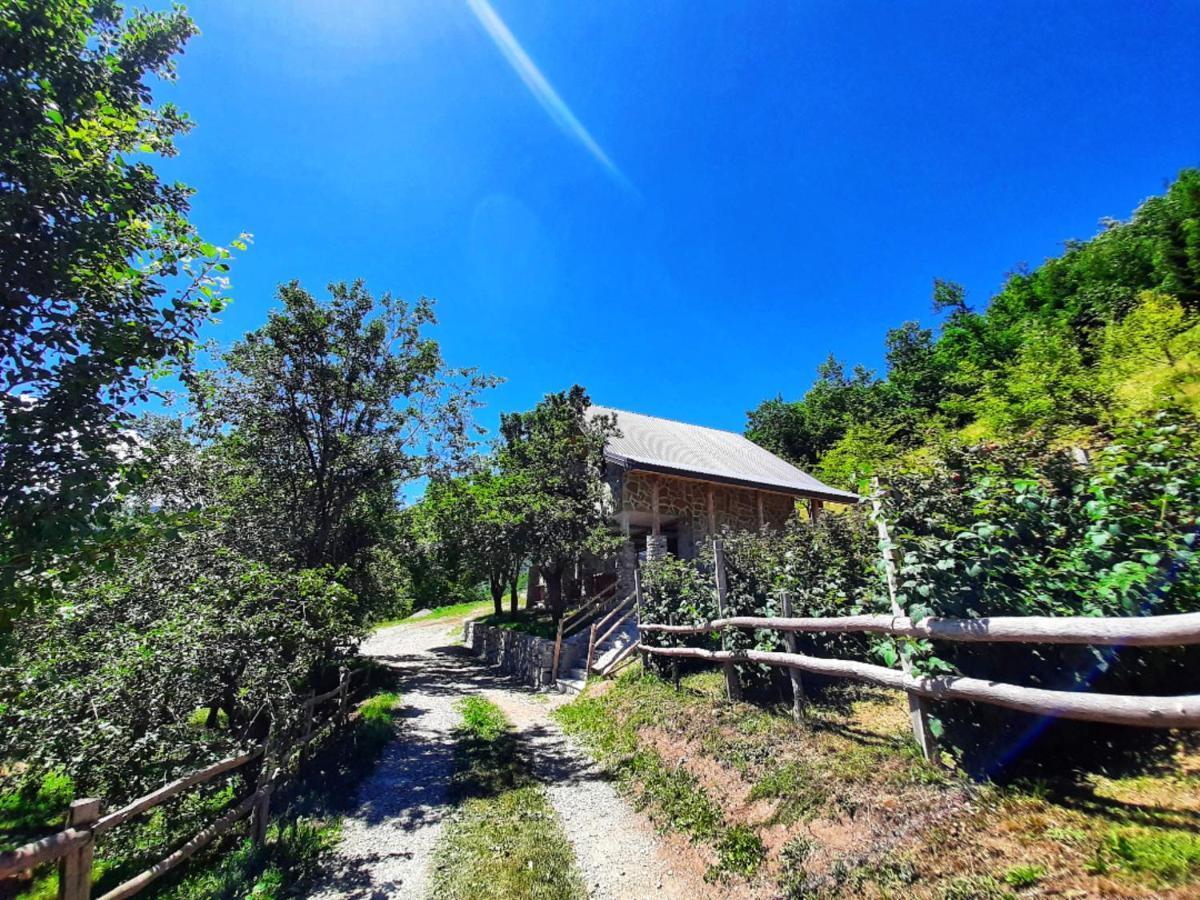 Fern Farm Eco Studio Apartment Mojkovac Dış mekan fotoğraf